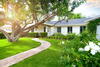 a house with a large tree and garden in front of it